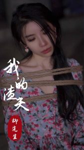 日本日韩视频在线观看