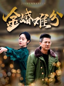 精品视频国产iv
