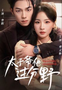 人妻的精品视频3片