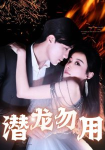 午夜视频动物与人