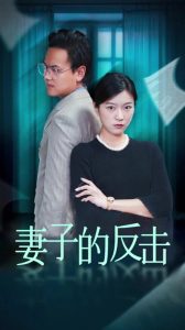中文a人妻a有码