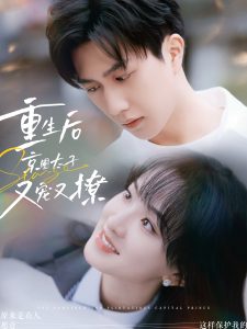 宜春院视频一级广告片