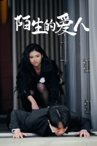 国产亚洲日韩欧美看国产DV口