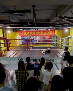 日韩美女肉衣电影