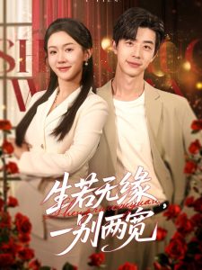 窝窝午夜视频免费