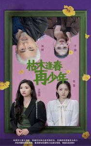 午夜提神视频在线观看