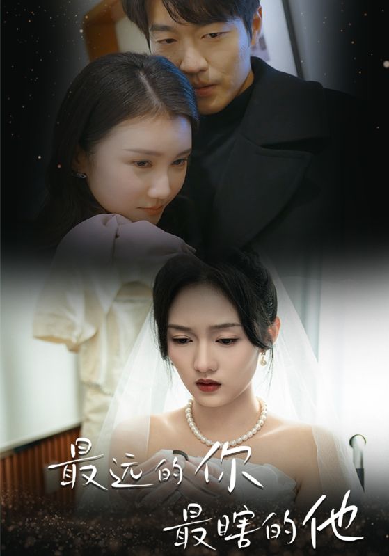 AAAAAAA一级婬片毛片