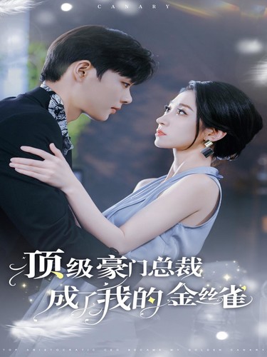 立花中文无码
