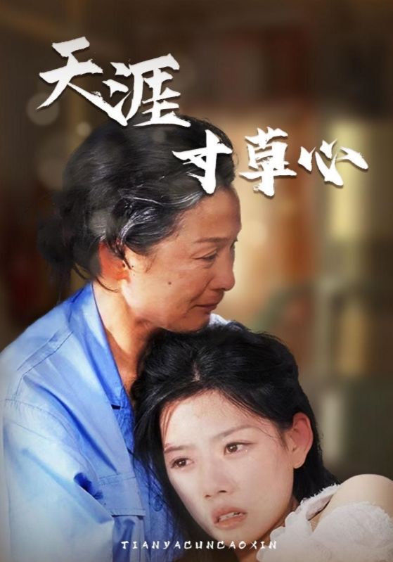 电影欧美佳片在线播放