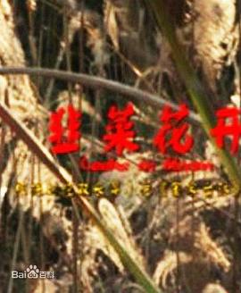 国产网站麻豆精品视频