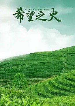 视频福利在线新时代