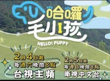 国产清纯人妻刺激
