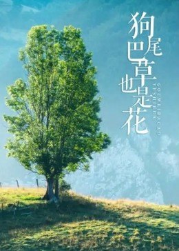 国产www网站在线观看
