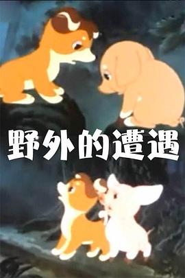 歐美的三級視頻在線播放