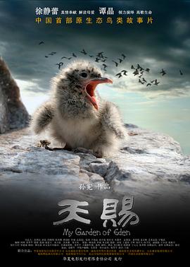 毛片a免费迅雷网站在线观看