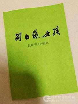 大黃蜂精品推薦在線觀看