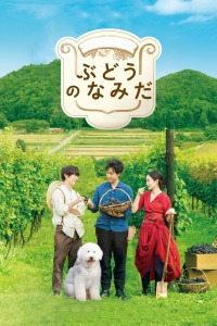四川一級高清生活片