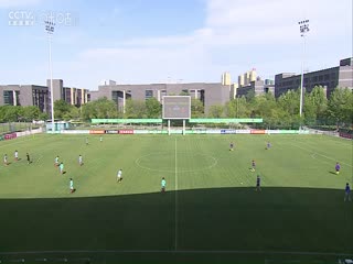 无码中字系列