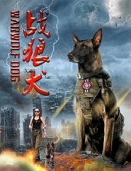 紫午夜影視
