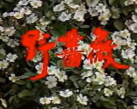 欧美不卡美图在线视频