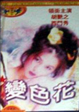 巍山你懂的