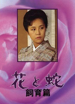 轻欧美风穿搭解析视频在线观看