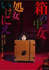 在線無碼視頻網(wǎng)站社區(qū)