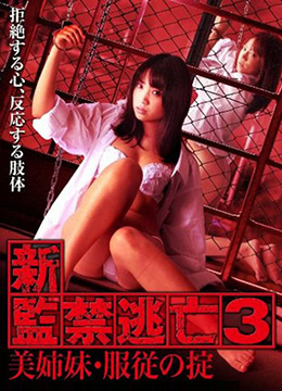 日韓在線4K高清