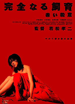 日韓衣姿
