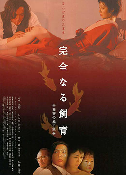 女豹无码全集