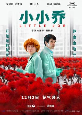 日韩毛片片免费