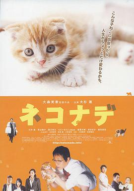 精品黑腳大公雞在線觀看