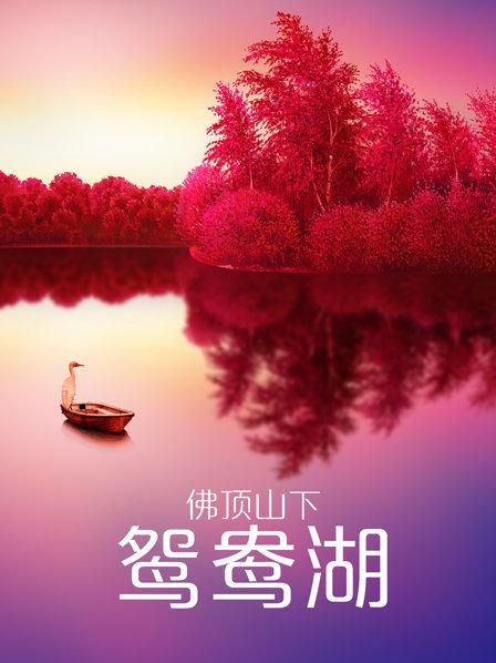 电影无码未删减在线