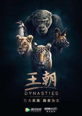 亚洲美容模特图片在线看
